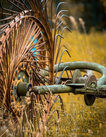 gear-fields-culture-4598209 gear, fields, culture-4598209.jpg
